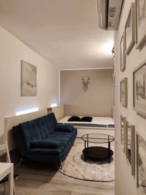 Joy City Stay Vivalia V6A-41 Timisoara Exterior photo